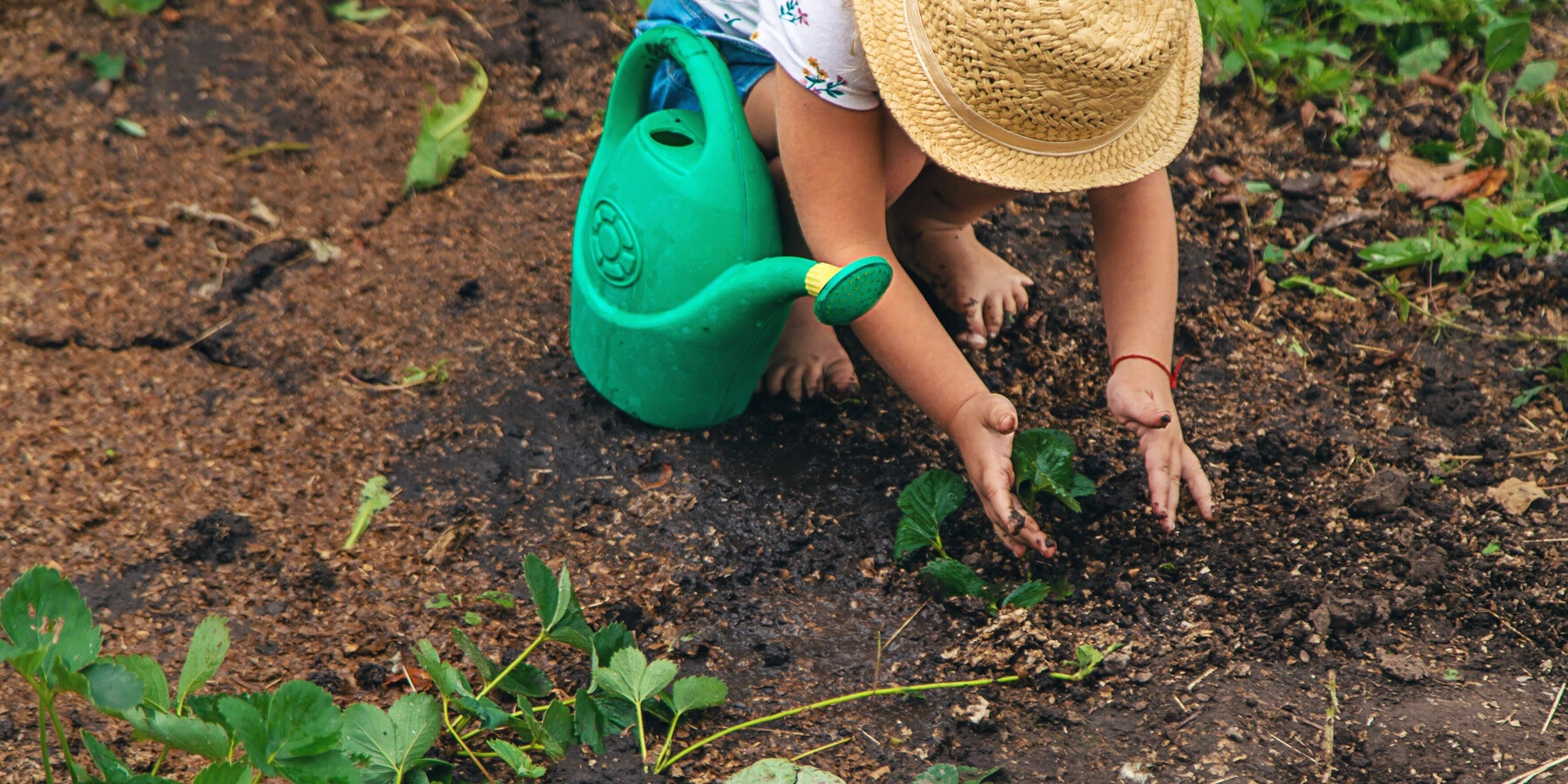 Child in a garden