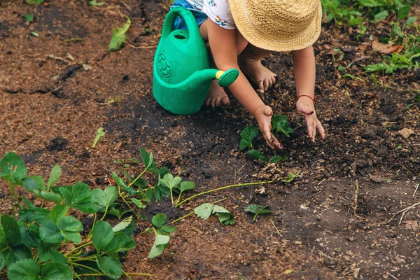Child in a garden
