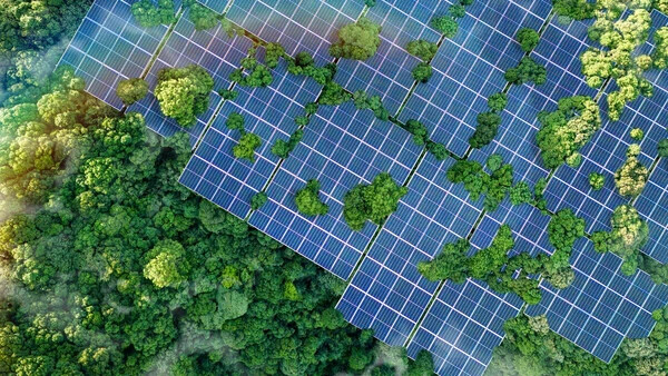 solar panel with greenery