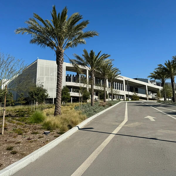 airport and palm trees