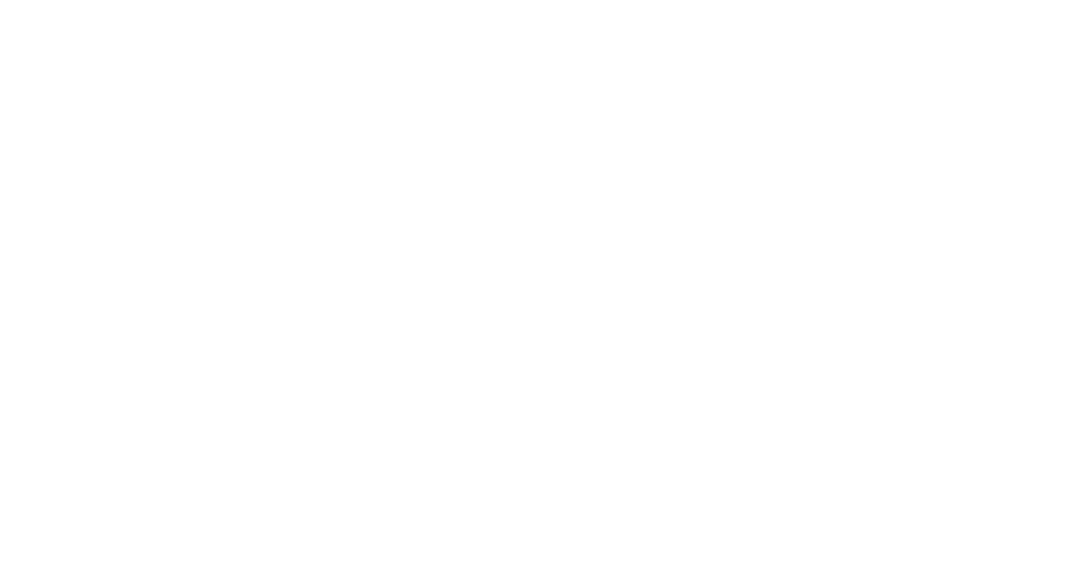 SFTE_Logo_White